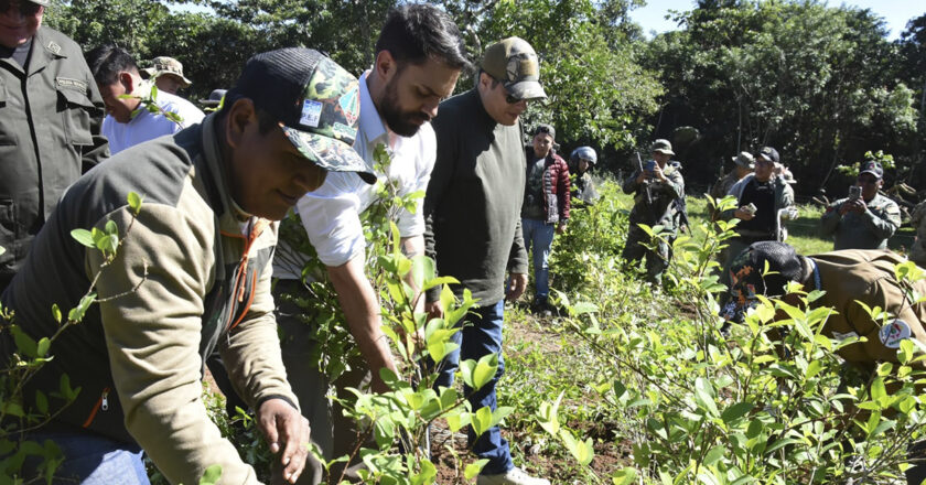 Parque Nacional Amboró es declarado libre de cultivos de coca en Santa Cruz