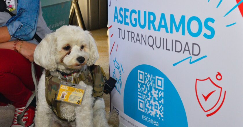 Lanzan Huellitas Seguras, el primer seguro para mascotas en tarjeta prepago