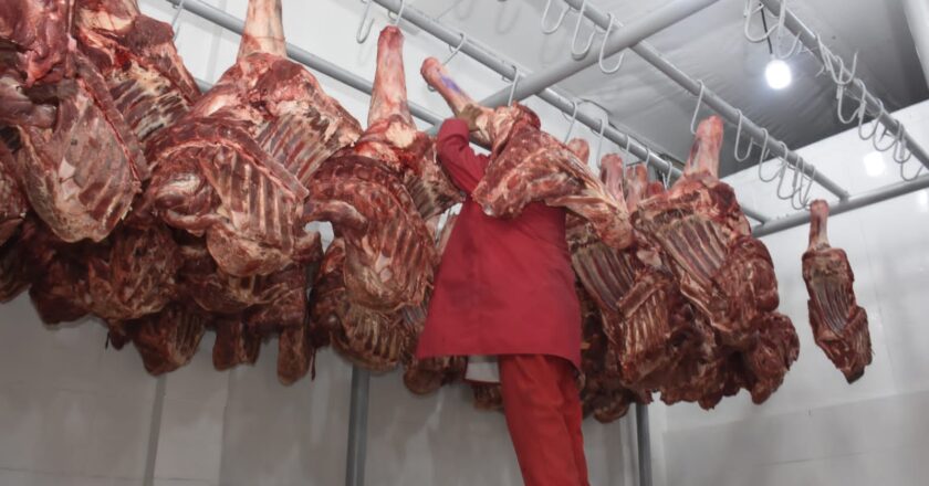 Bolivia tiene 35,000 toneladas de carne para exportar