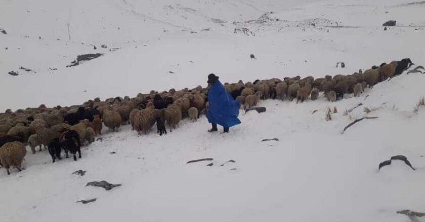 Senamhi pronostica nevadas en cordilleras de dos departamentos