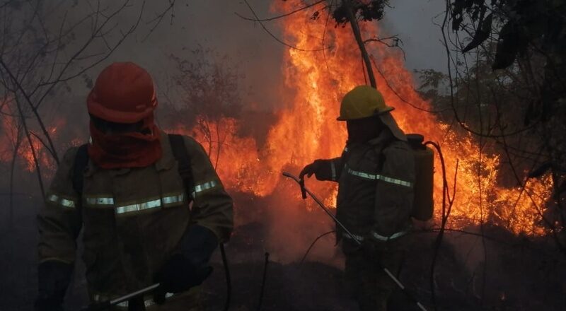 Bolivia registra 3.100 focos de calor, advierten que 59 municipios estarían en riesgo por posibles incendios