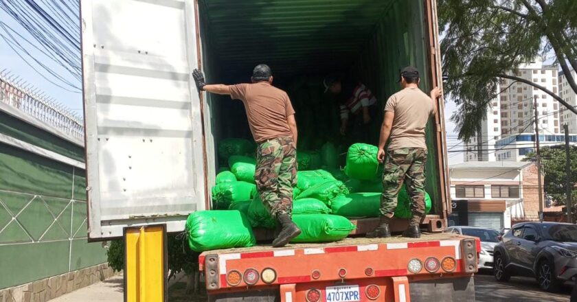 Chofer que fue encontrado transportando de manera irregular 1.032 bolsas de coca proveniente del Perú es enviado a prisión con detención preventiva