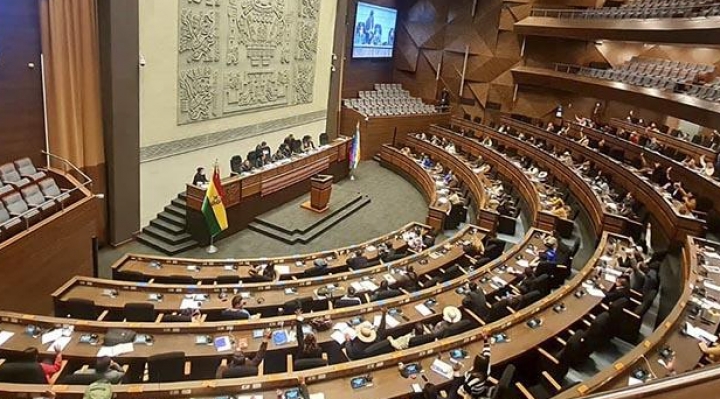Vicepresidencia remite Proyecto de Ley de Régimen Excepcional y Transitorio de Elecciones Primarias a la Cámara de Diputados