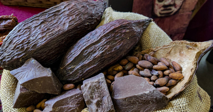 Tras Encuentro Empresarial Andino, el cacao boliviano será exportado a Chile