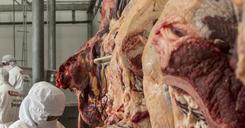 Bolivia logra $us 362 millones por exportación de carne bovina en los tres últimos años