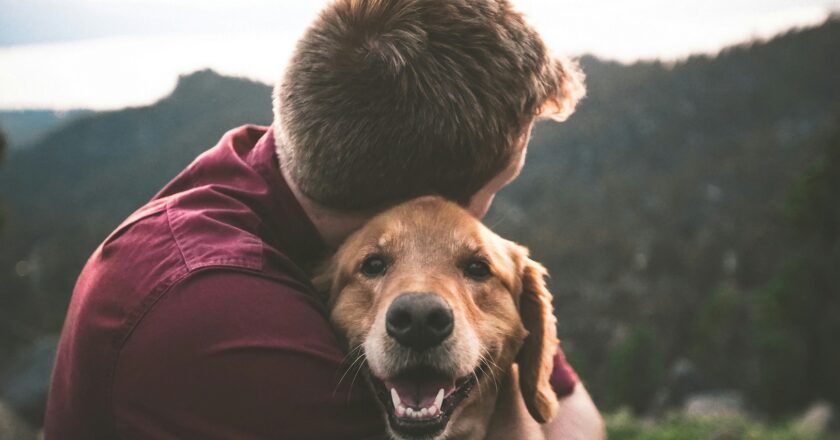 Mascotas felices: consejos claves para el cuidado de los animales en casa