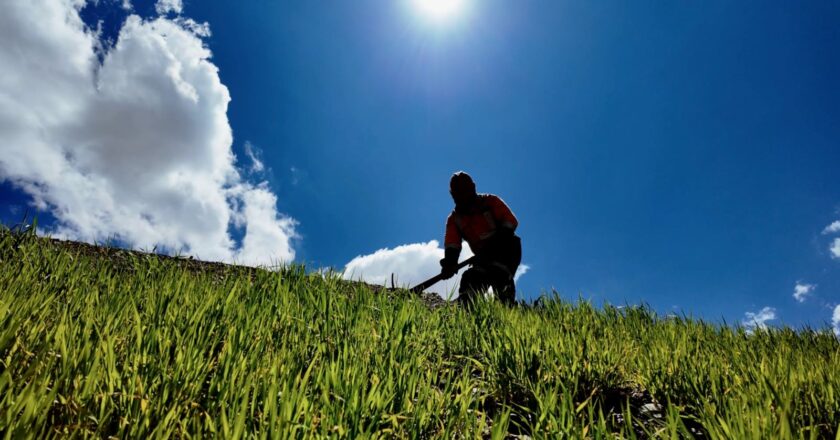 Sinchi Wayra impulsa la sostenibilidad ambiental con un proyecto de reforestación cerca de sus operaciones en Oruro