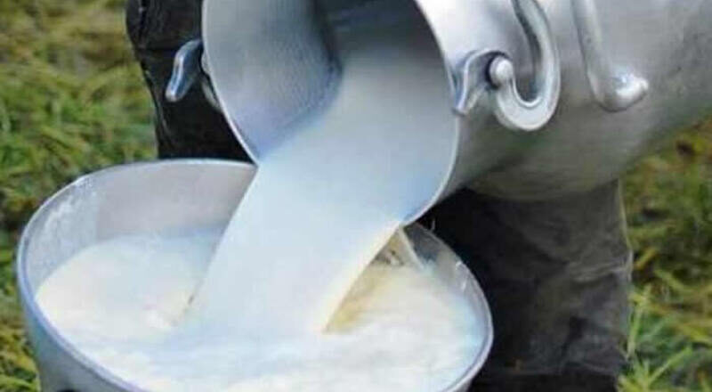 Precio de la leche se mantiene invariable, Gobierno subvenciona y entrega insumos a lecheros