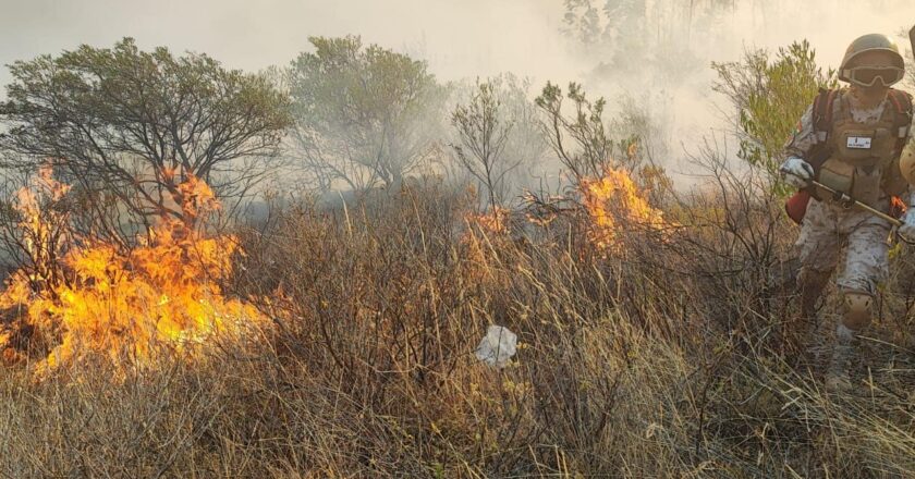 Arce instruye contratar aviones cisterna para reforzar lucha contra los incendios forestales