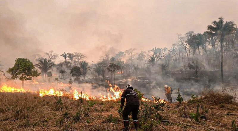 Bomberos intensifican la lucha contra incendios que afectan a 49 comunidades de Santa Cruz, Beni y La Paz