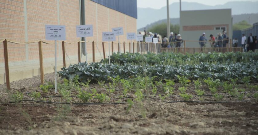 Firman convenio para proveer fertilizantes y mejorar la producción de hortalizas en Santa Cruz y Tarija