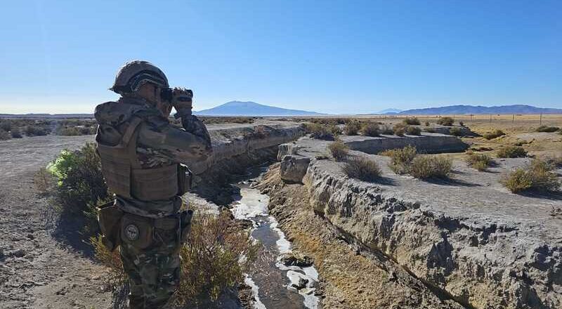 Intensifican operativos contra el contrabando en la frontera con Chile