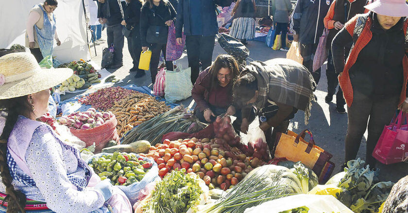 Ferias Del Campo a la Olla llevan 348 toneladas de alimentos a todo el país