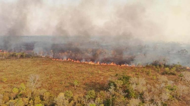 Ministerio Público prioriza la investigación de 117 casos de incendios forestales; Santa Cruz es el departamento con mayor incidencia