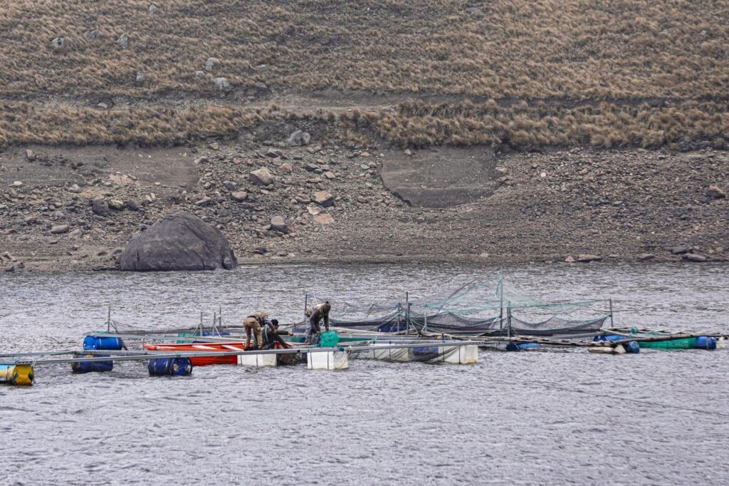 JAULAS FLOTANTES