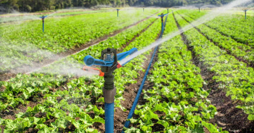 Innovación & Sostenibilidad: Tigre lanza su nueva línea de productos para el agro