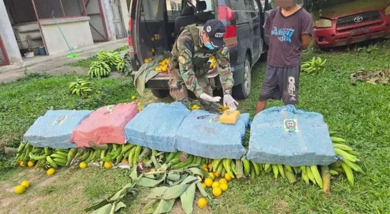 Capturan en Beni a hombre que llevaba más de 127 kilos de marihuana camuflada en frutas