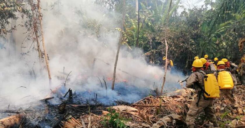 Bomberos y lluvias controlan los incendios forestales en 90% en Beni y 70% en Santa Cruz