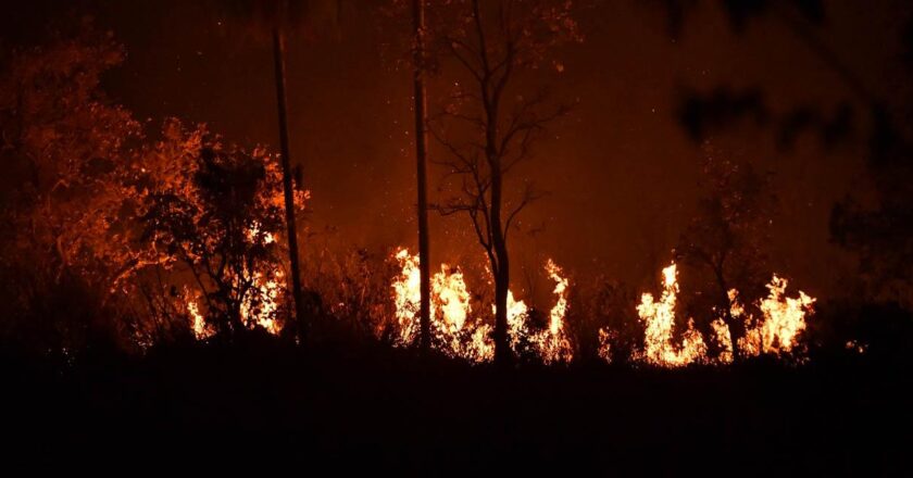 El Gobierno declara pausa ambiental indefinida y propone ley para sancionar con hasta 12 Años de cárcel