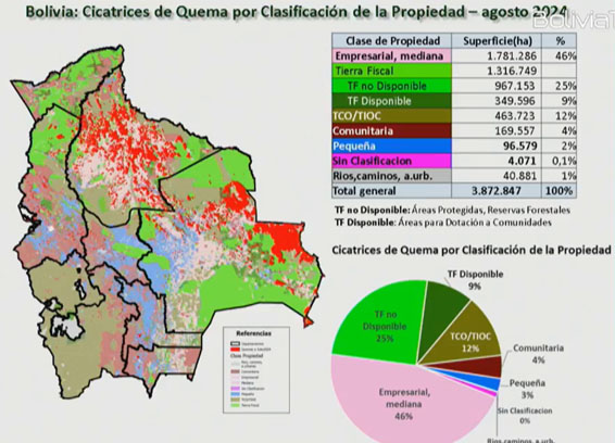 Según el INRA, superficie quemada llega a 3,8 millones de hectáreas; el 40% son bosques y el 60% pastizales