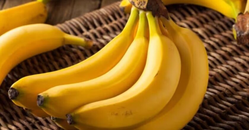 Bloqueos afectan exportación de banana boliviana y ponen en riesgo mercados internacionales