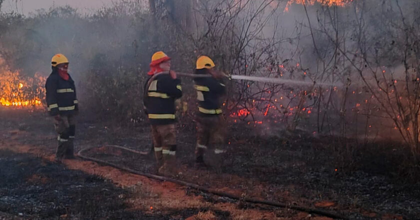 La ABT inicia 110 procesos penales por incendios forestales y pide sanciones ejemplares