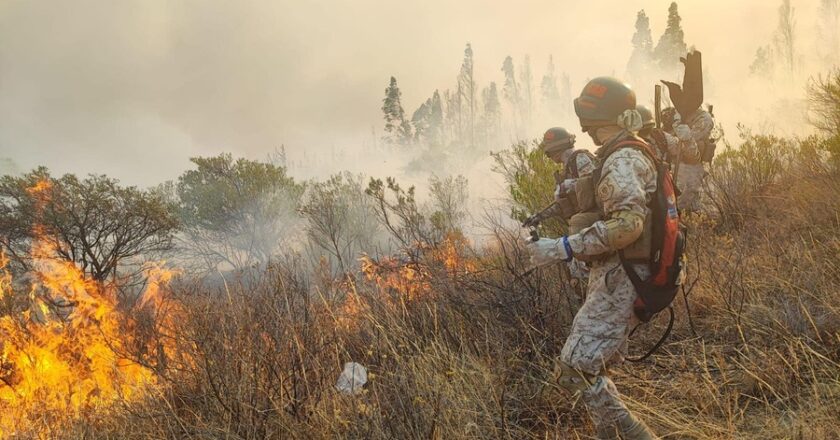 Casi el 50% de los incendios en Santa Cruz están sofocados y bomberos extreman esfuerzos