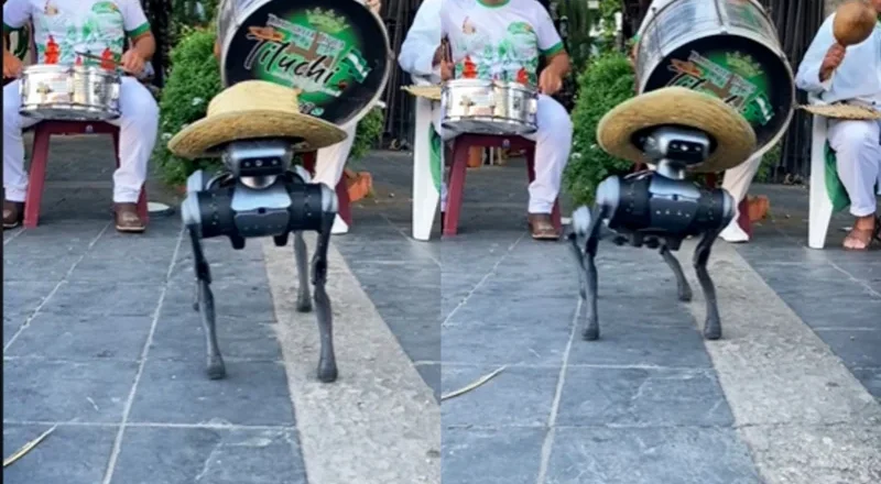 Perro robot causa furor bailando chovena al ritmo de la tamborita