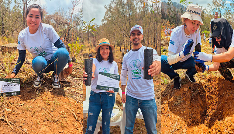 Banco Unión realiza actividades de reforestación en el Parque Tunari de Cochabamba