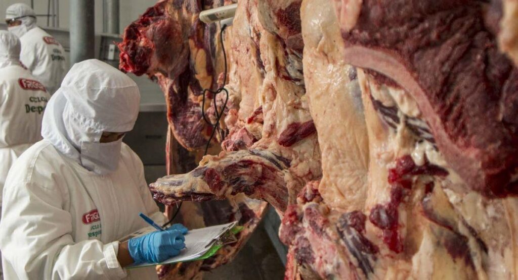 Afirman que sólo el 10% de la producción de carne bovina boliviana es para exportar