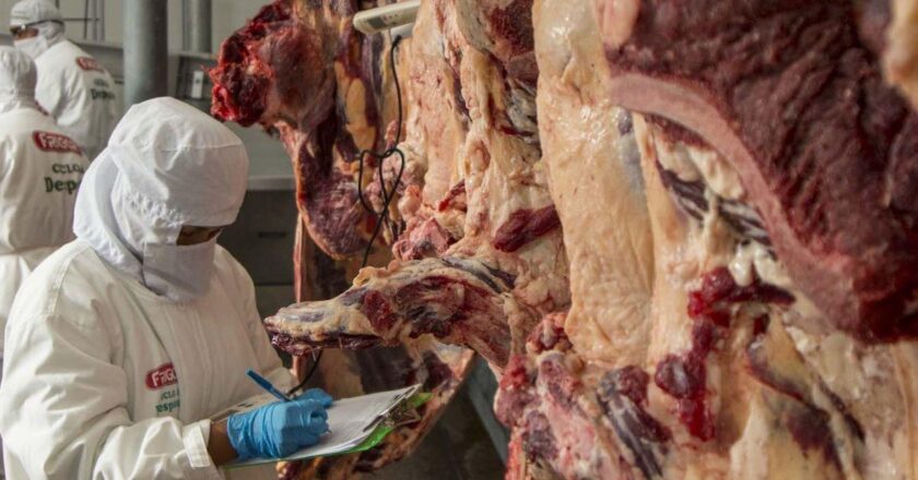 Afirman que sólo el 10% de la producción de carne bovina boliviana es para exportar