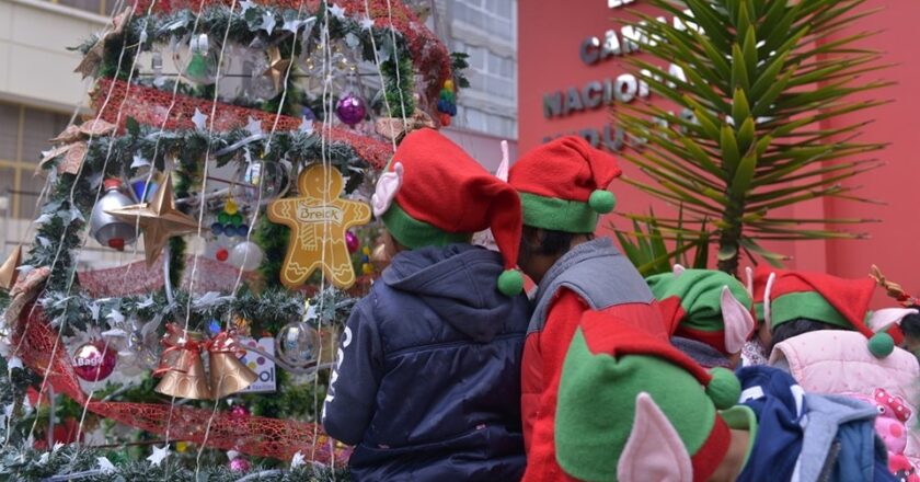 La CNI se viste de luces navideñas con material reciclado