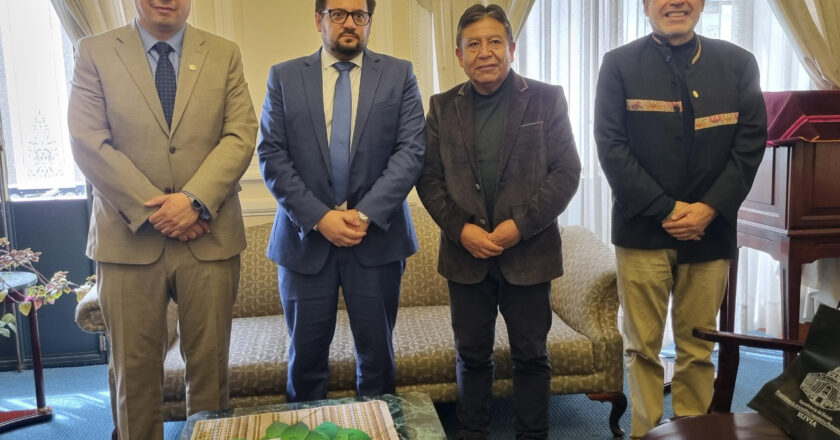 Vicepresidente Choquehuanca y Relator de la CIDH fortalecen colaboración para enfrentar incendios forestales y proteger los derechos humanos y de la Madre Tierra