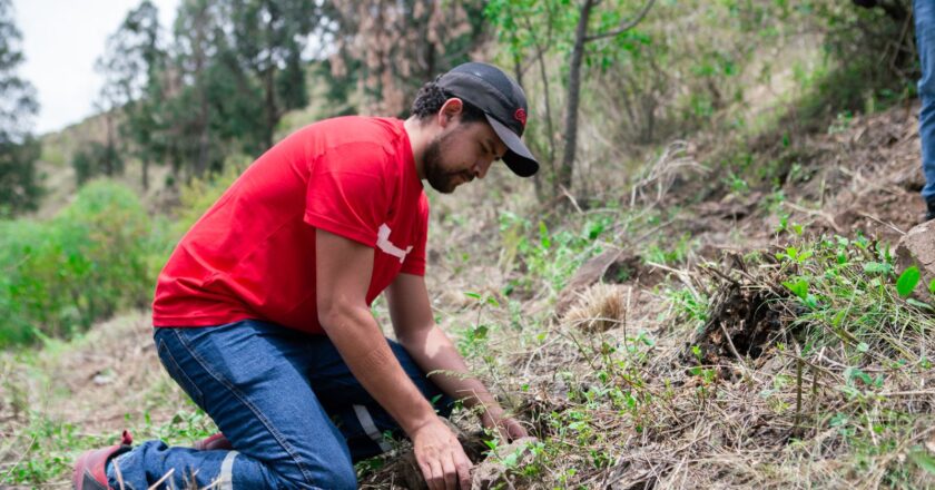 La planta productiva de EMBOL Cochabamba transforma lodo residual en abono orgánico para Reforestación